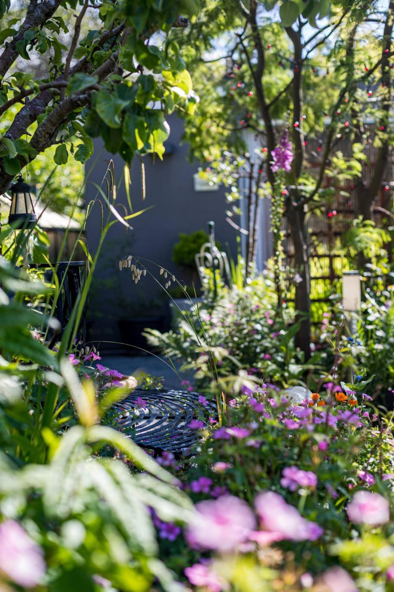 Hideaway Cabin For Two On Edge Of New Forest Hinton  Buitenkant foto